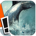 Moby Dick - the Graphic Novel